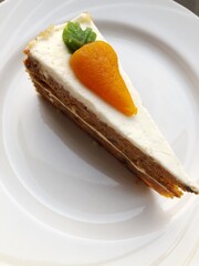 Delicious carrot cake on a white plate