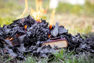 Burning books on the hearth in the garden