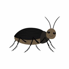 Black beetle on a white background vector illustration