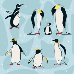 Set of penguin in different poses. Adult birds and chicks. Vector illustration