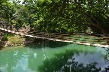 Obraz premium The stunning flora and fauna of the beaches and Chocolate Hills around Bohol Island in the Philippines