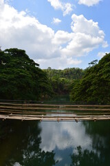 Fototapeta premium The stunning flora and fauna of the beaches and Chocolate Hills around Bohol Island in the Philippines