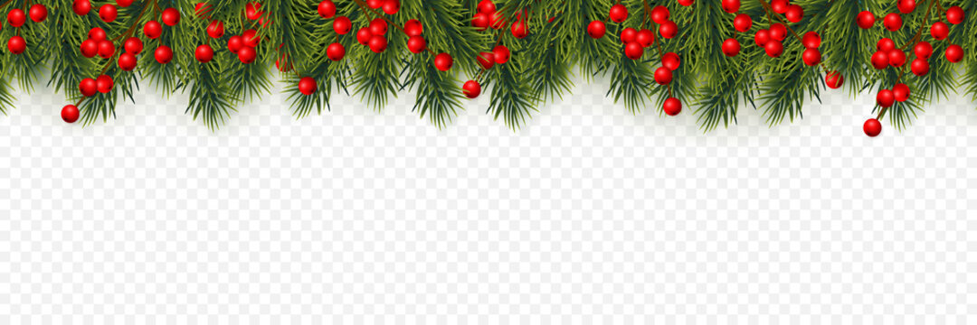 Festive Christmas or New Year Background. Christmas tree branches with holly berries. Holiday's Background. Vector illustration