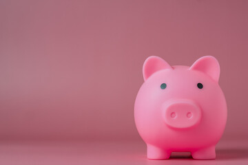 pink piggy bank on pink color background