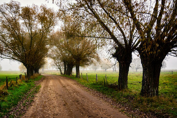 Obraz premium Jesienne krajobrazy Podlasia, Polska