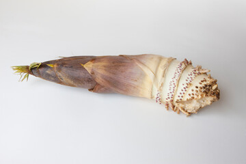 採れたてのタケノコ