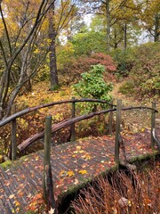 bench in autumn park