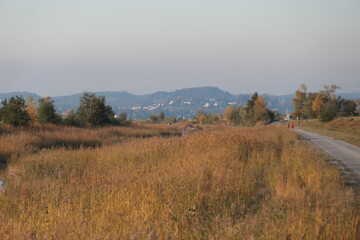 Fototapeta premium autumn landscape with mountains