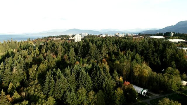 Drone footage of UBC, tress, forest and pacific ocean (British Columbia, Canada)