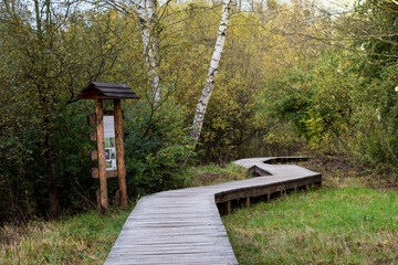 A touristic trail near Warsaw, Poland. A wooden path leads through a meadow into the forest.