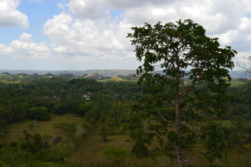 Obraz premium The stunning flora and fauna of the beaches and Chocolate Hills around Bohol Island in the Philippines