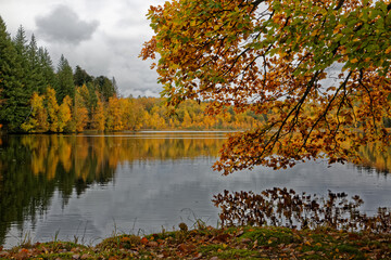 l'automne  aux mille étangs