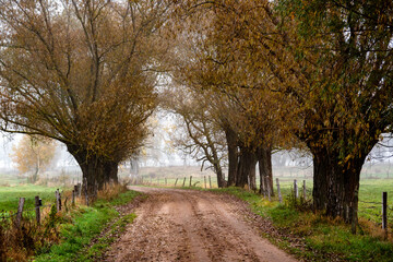 Jesienne krajobrazy Podlasia, Polska