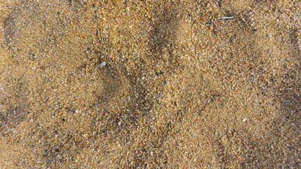 Real texture of sand of the beach