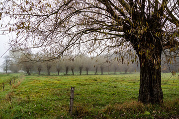 Jesienne krajobrazy Podlasia, Polska © podlaski49