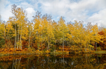 l'automne  aux mille étangs