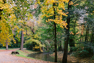 Waldweg am Fluss im Herbst