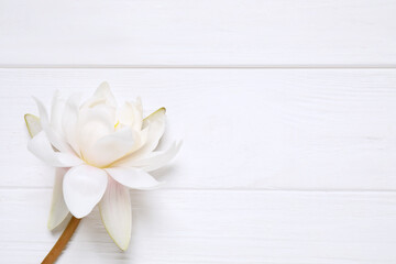Beautiful blooming lotus flower on white wooden table, top view. Space for text
