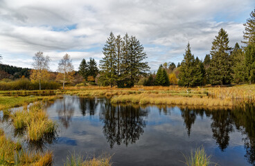 étang tourbière des Vosges en automne