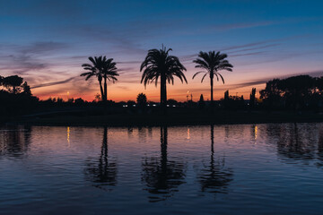 Fototapeta na wymiar Sunset blue hour over a lake with palm trees