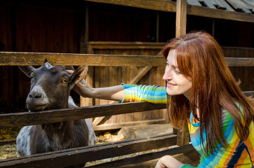 Fototapeta na wymiar Young pretty woman with red hair look and strokes a gray goat behind a wooden fence in village