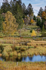 étang tourbière des Vosges en automne