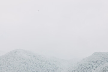 View of the snow-covered mountains. Krasnaya Polyana, Sochi, Russia Ski resort