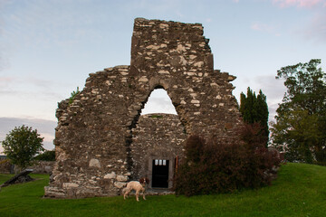 Fototapeta na wymiar Ancient Celtic Monastic Site, Ireland