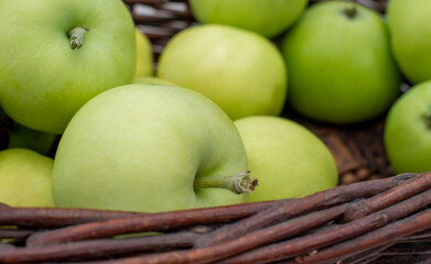 Mullins Yellow Seeding / Yellow Transparent / White Transparent apples in the dark brown wicker basket on white table