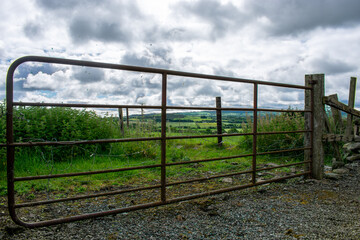 Fototapeta na wymiar Green Meadow in Irish Countryside
