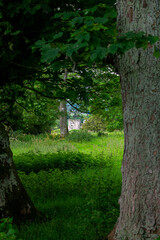 Ancient Stonework at Iron age Monastic Site, Ireland
