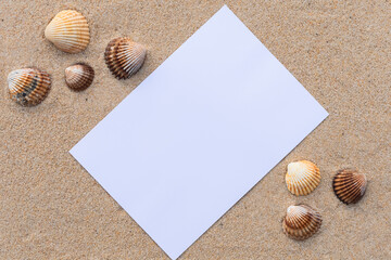 Arrière-plan grains de sable de mer, sable fin de plage avec feuille blanche et coquillages. Emplacement pour texte sur papier.