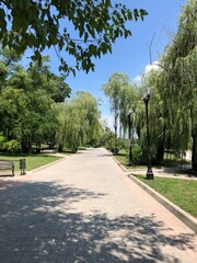 road in the park