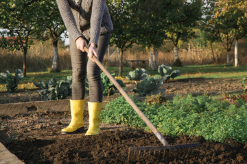 Woman in yellow rubber boots working in garden with rake leveling ground. Soil preparation for seeding and planting, garden tools, gardening, rake, soil, outdoor work concept.