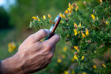 homme qui scanne une plante avec une application de reconnaissance