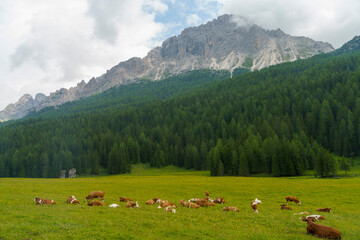 Fototapeta na wymiar Mountain landscape along the road to Passo Tre Croci, Dolomites, Veneto, Italy