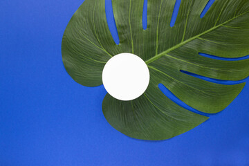 Jar for liquid, cream, gel, lotion. Сosmetic jar on blue background with tropical leaf. SPA...