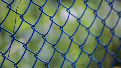 Fototapeta premium blue fence and nature
