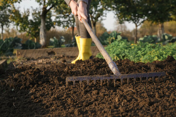 Woman in yellow rubber boots working in garden with rake leveling ground. Soil preparation for...