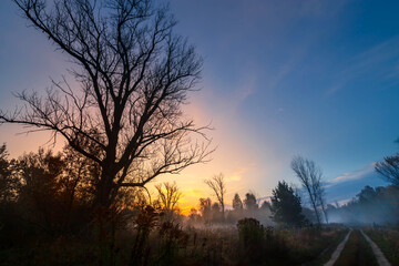 Fototapeta na wymiar Mystic foggy landscape in the sunny morning in Russia.