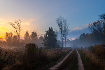 Mystic foggy landscape in the sunny morning in Russia.