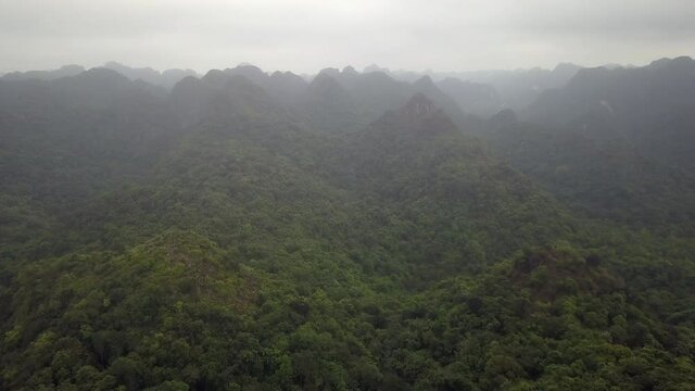 Halong Mountains Cat Ba, view from the Ngu Lam peak in the Kim Giao forest