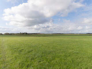 A meadow in Abcoude, The Netherlands