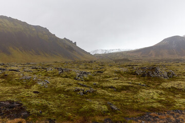Green moss covered landscape and snowy mountain in Iceland