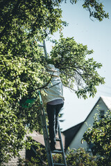 Fototapete bei efototapeten.de bestellen   