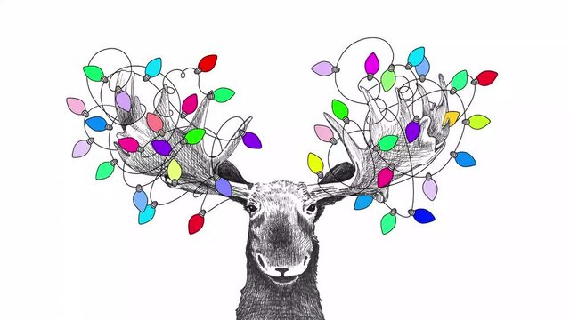 Funny Christmas moose video with blinking Christmas lights tangled in antlers, fun animated holiday animal drawing, hand drawn sketch of moose, movie be set to loop