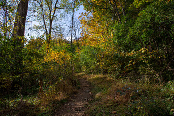 Fototapeta na wymiar Trails in Autumn. 