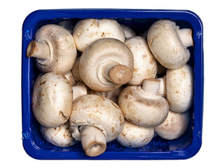 Full frame top view of blue basket filled with mushrooms