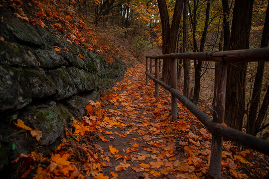 idyllic October scenery view of park outdoor environment space orange falling leaves on dirt trail between wooden rural palisade and old stone wall soft focus and noise polluted concept photo