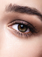 Closeup of a young woman's eye with classic makeup, glowing fresh skin, perfect brows and lashes. Face detail. Natural feminine beauty concept and neutral makeup style.   